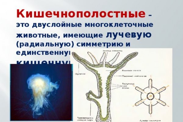 Кракен сайт ссылки актуальные