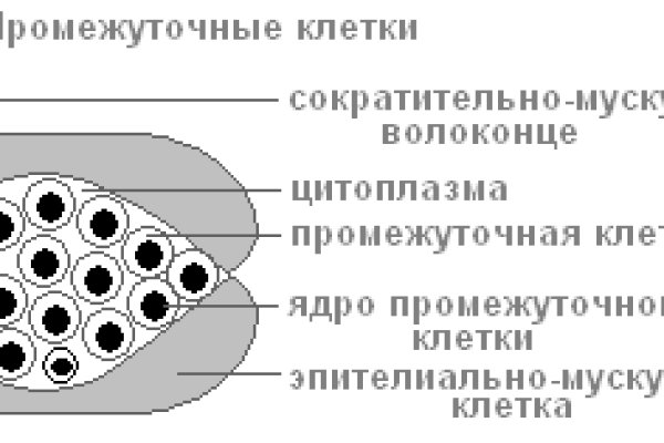 Вход на кракен