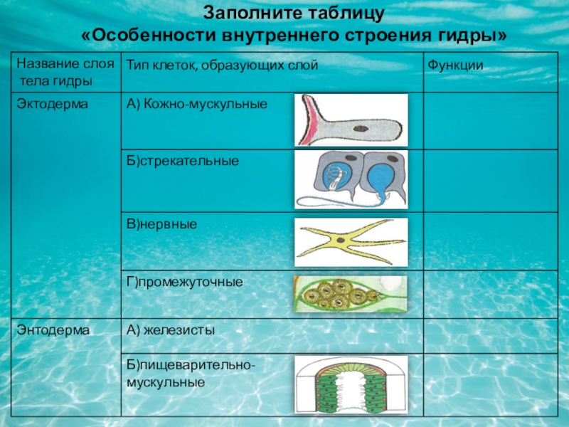 Как зайти на кракен через айфон